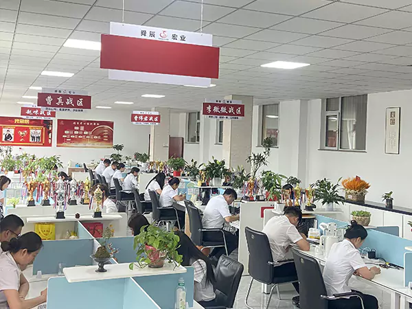 पालको रूपमा अखण्डता र प्याडलको रूपमा गुणस्तरको साथ, हामी स्टिल मार्केटिङमा नयाँ अध्याय लेख्नेछौं।